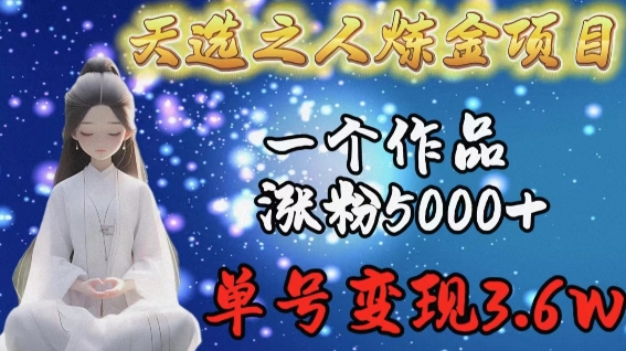天选之人炼金项目，一个作品涨粉5000+，单号变现3.6w【揭秘】-如意资源库