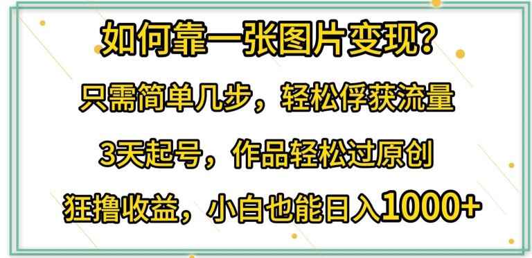 如何靠一张图片变现?只需简单几步，轻松俘获流量，3天起号，作品轻松过原创【揭秘】-如意资源库