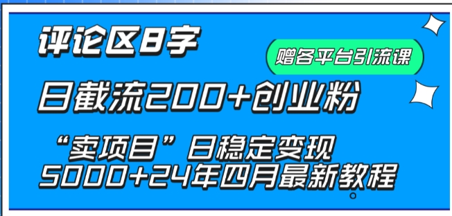 抖音评论区8字日截流200+创业粉 “卖项目”日稳定变现5000+【揭秘】-如意资源库