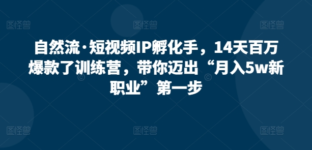 自然流·短视频IP孵化手，14天百万爆款了训练营，带你迈出“月入5w新职业”第一步-如意资源库