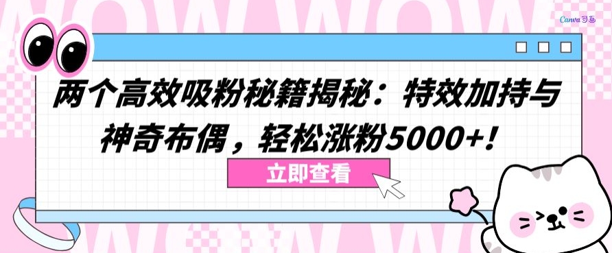 两个高效吸粉秘籍揭秘：特效加持与神奇布偶，轻松涨粉5000+【揭秘】-如意资源库