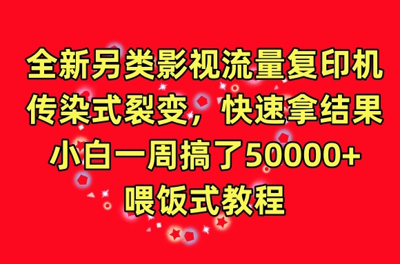 全新另类影视流量复印机,传染式裂变,快速拿结果,小白一周搞了50000+,喂饭式教程【揭秘】-如意资源库