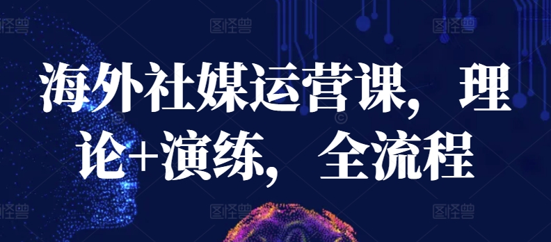 海外社媒运营课，理论+演练，全流程-如意资源库