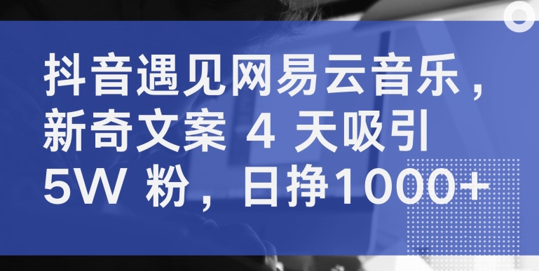 抖音遇见网易云音乐，新奇文案 4 天吸引 5W 粉，日挣1000+【揭秘】-如意资源库