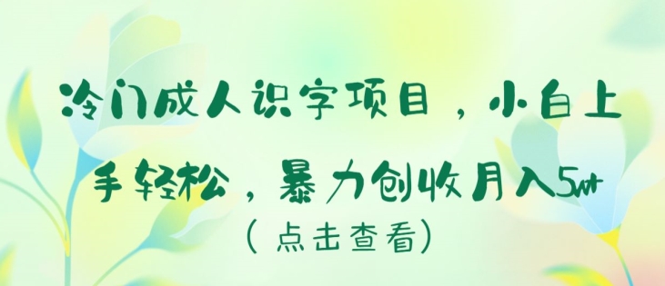 冷门成人识字项目，小白上手轻松，暴力创收月入5w+【揭秘】-如意资源库