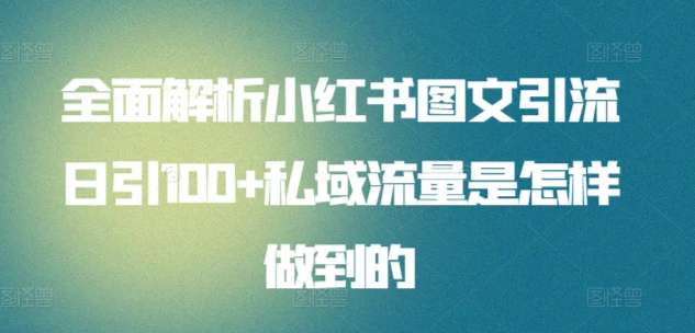 全面解析小红书图文引流日引100+私域流量是怎样做到的【揭秘】-如意资源库