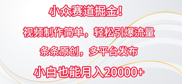 小众赛道掘金，视频制作简单，轻松引爆流量，条条原创，多平台发布【揭秘】-如意资源库