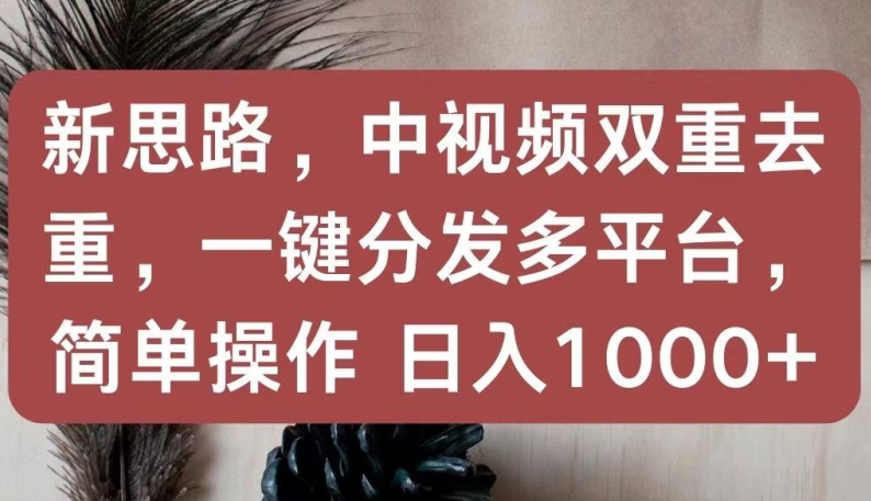 新思路，中视频双重去重，一键分发多平台，简单操作，日入1000+【揭秘】-如意资源库