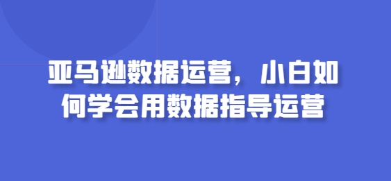 亚马逊数据运营，小白如何学会用数据指导运营-如意资源库