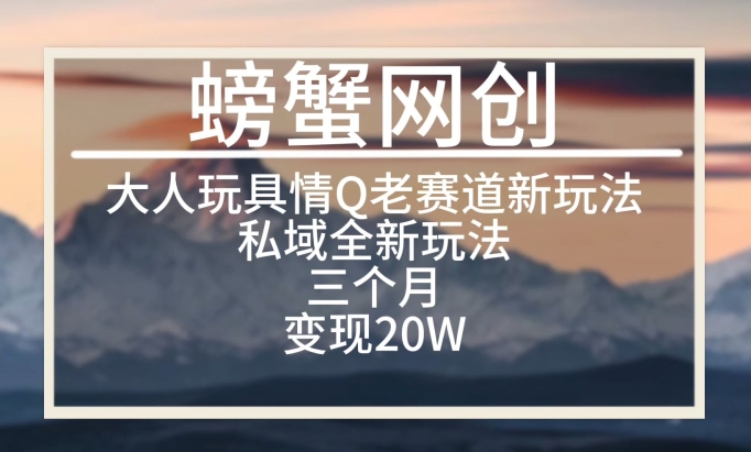 大人玩具情Q用品赛道私域全新玩法，三个月变现20W，老项目新思路【揭秘】-如意资源库