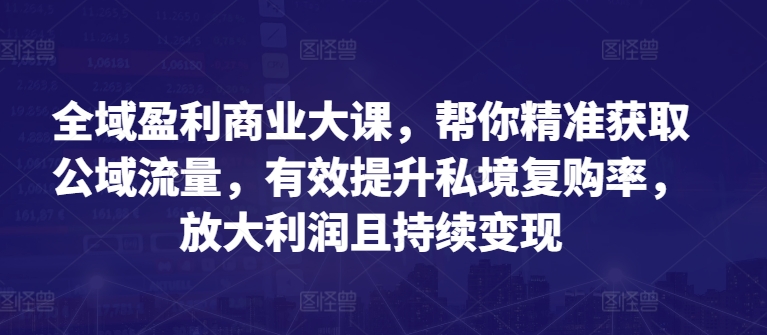 全域盈利商业大课，帮你精准获取公域流量，有效提升私境复购率，放大利润且持续变现-如意资源库