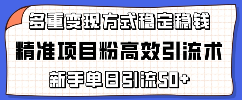 精准项目粉高效引流术，新手单日引流50+，多重变现方式稳定赚钱【揭秘】-如意资源库