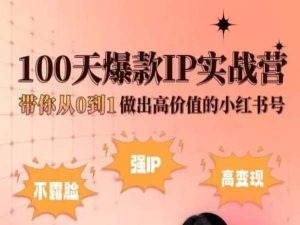 小红书100天爆款IP实战营，带你从0到1做出高价值的小红书号-如意资源库