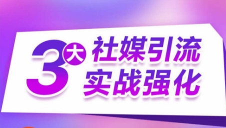 3大社媒引流实战强化，多渠道站外引流，高效精准获客，订单销售额翻倍增长-如意资源库