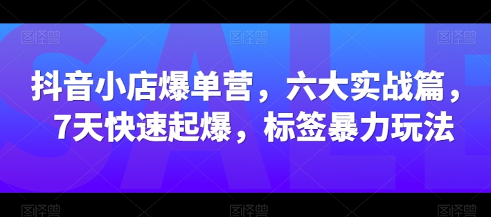 抖音小店爆单营，六大实战篇，7天快速起爆，标签暴力玩法-如意资源库