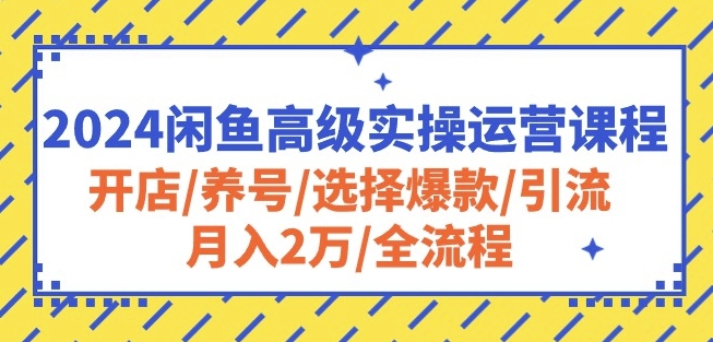 2024闲鱼高级实操运营课程：开店/养号/选择爆款/引流/月入2万/全流程-如意资源库