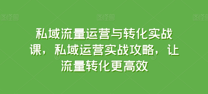 私域流量运营与转化实战课，私域运营实战攻略，让流量转化更高效-如意资源库