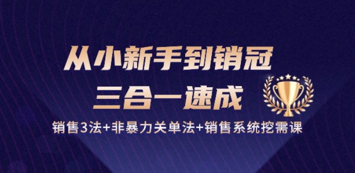 从小新手到销冠 三合一速成：销售3法+非暴力关单法+销售系统挖需课 (27节)-如意资源库