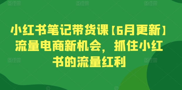 小红书笔记带货课【6月更新】流量电商新机会，抓住小红书的流量红利-如意资源库
