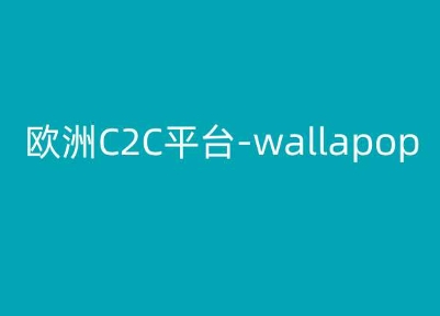 欧洲C2C平台-wallapop-kim跨境电商教程-如意资源库