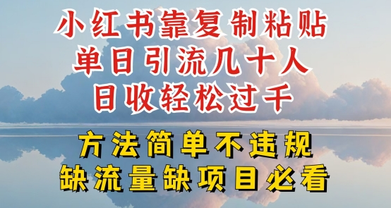 小红书靠复制粘贴单日引流几十人目收轻松过千，方法简单不违规【揭秘】-如意资源库