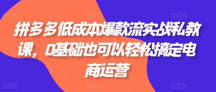 拼多多低成本爆款流实战私教课，0基础也可以轻松搞定电商运营-如意资源库