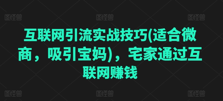 互联网引流实战技巧(适合微商，吸引宝妈)，宅家通过互联网赚钱-如意资源库