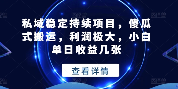 私域稳定持续项目，傻瓜式搬运，利润极大，小白单日收益几张【揭秘】-如意资源库