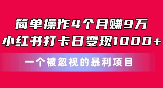 简单操作4个月赚9w，小红书打卡日变现1k，一个被忽视的暴力项目【揭秘】-如意资源库
