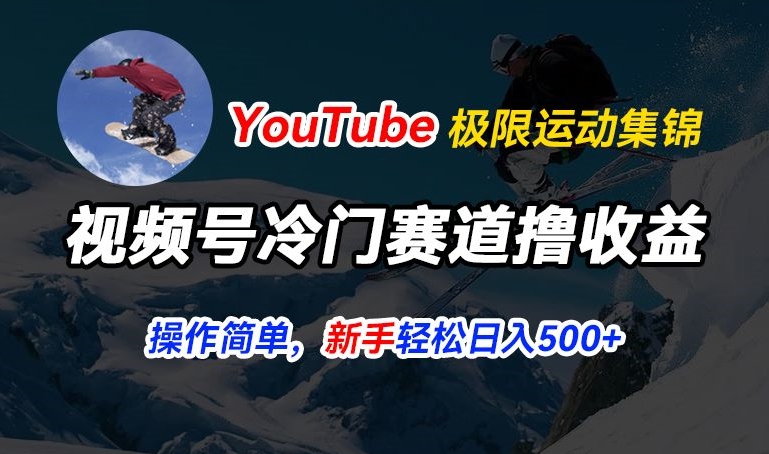 视频号冷门赛道撸收益，YouTube搬运极限运动集锦，暴力起号，操作简单流量高，轻松日入5张【揭秘】-如意资源库