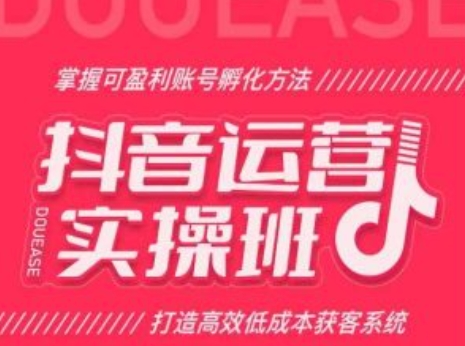 抖音运营实操班，掌握可盈利账号孵化方法，打造高效低成本获客系统-如意资源库