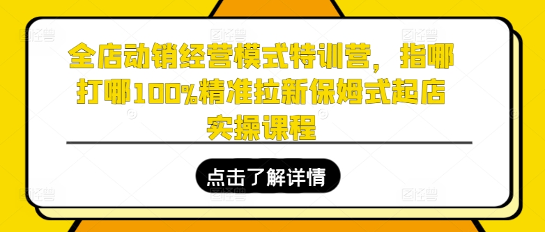 全店动销经营模式特训营，指哪打哪100%精准拉新保姆式起店实操课程-如意资源库