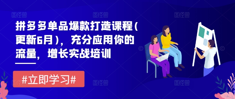 拼多多单品爆款打造课程(更新6月)，充分应用你的流量，增长实战培训-如意资源库