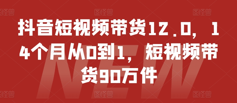 抖音短视频带货12.0，14个月从0到1，短视频带货90万件-如意资源库