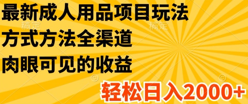 最新成人用品项目玩法，方式方法全渠道，轻松日入2K+【揭秘】-如意资源库