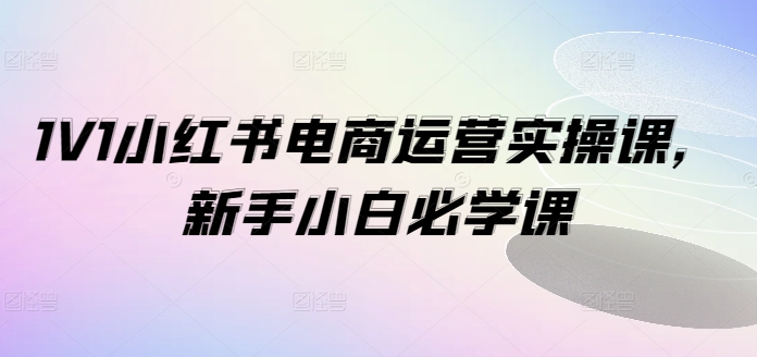 1V1小红书电商运营实操课，新手小白必学课-如意资源库
