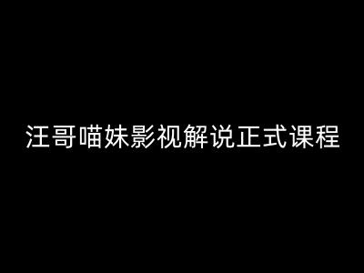 汪哥影视解说正式课程：剪映/PR教学/视解说剪辑5大黄金法则/全流程剪辑7把利器等等-如意资源库