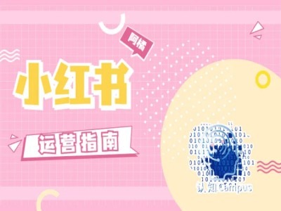 小红书运营指南，没有套路，全是经验-如意资源库