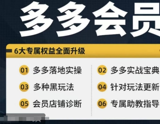 拼多多会员，拼多多实战宝典+实战落地实操，从新手到高阶内容全面覆盖-如意资源库