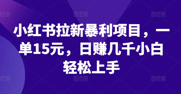 小红书拉新暴利项目，一单15元，日赚几千小白轻松上手【揭秘】-如意资源库