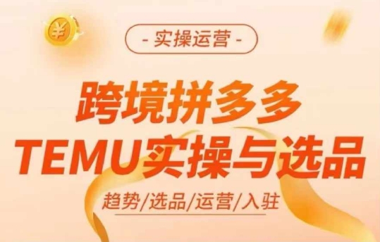 跨境拼多多TEMU实操与选品，多多temu跨境选品运营实操-如意资源库