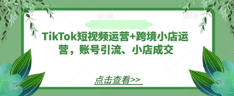 TikTok短视频运营+跨境小店运营，账号引流、小店成交-如意资源库
