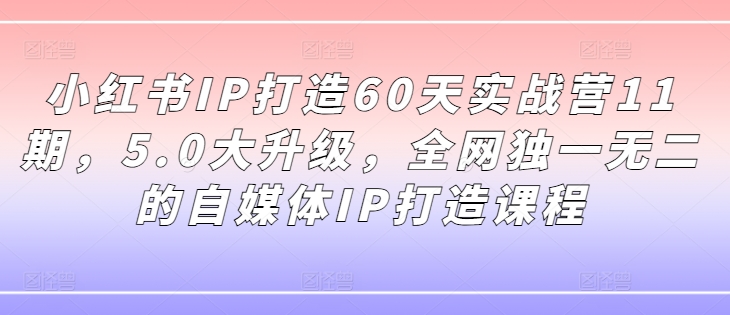 小红书IP打造60天实战营11期，5.0大升级，全网独一无二的自媒体IP打造课程-如意资源库