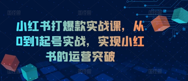 小红书打爆款实战课，从0到1起号实战，实现小红书的运营突破-如意资源库