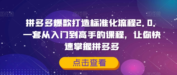拼多多爆款打造标准化流程2.0，一套从入门到高手的课程，让你快速掌握拼多多-如意资源库