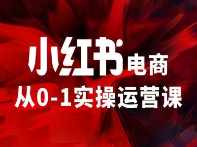 小红书电商从0-1实操运营课，让你从小白到精英-如意资源库
