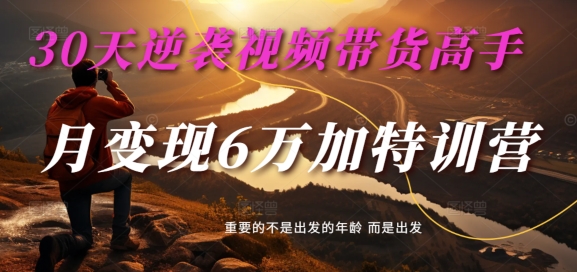 30天逆袭视频带货高手，单月变现6万加特训营-麦子甜-如意资源库