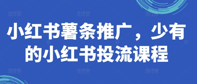 小红书薯条推广，少有的小红书投流课程-如意资源库
