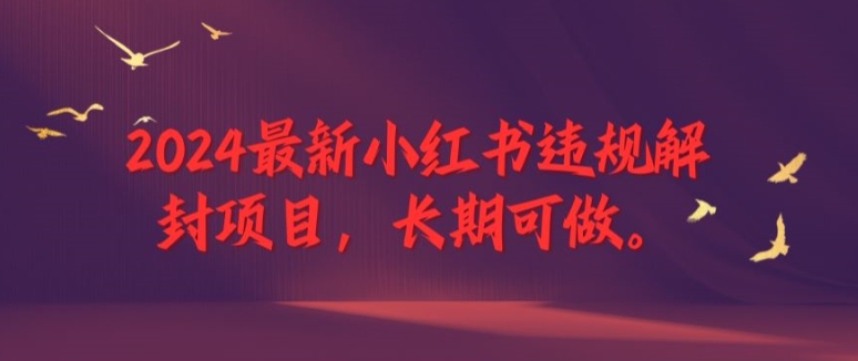 2024最新小红书违规解封项目，长期可做，一个可以做到退休的项目【揭秘】-如意资源库