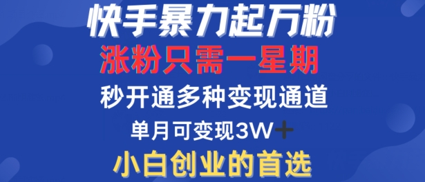 快手暴力起万粉,涨粉只需一星期,多种变现模式,直接秒开万合,单月变现过W【揭秘】-如意资源库